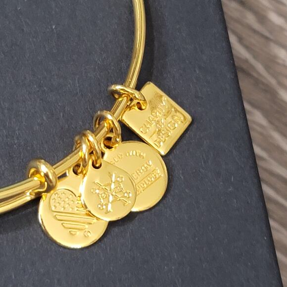 Alex and Ani Fearless Charm Bracelet - Picture 7 of 11